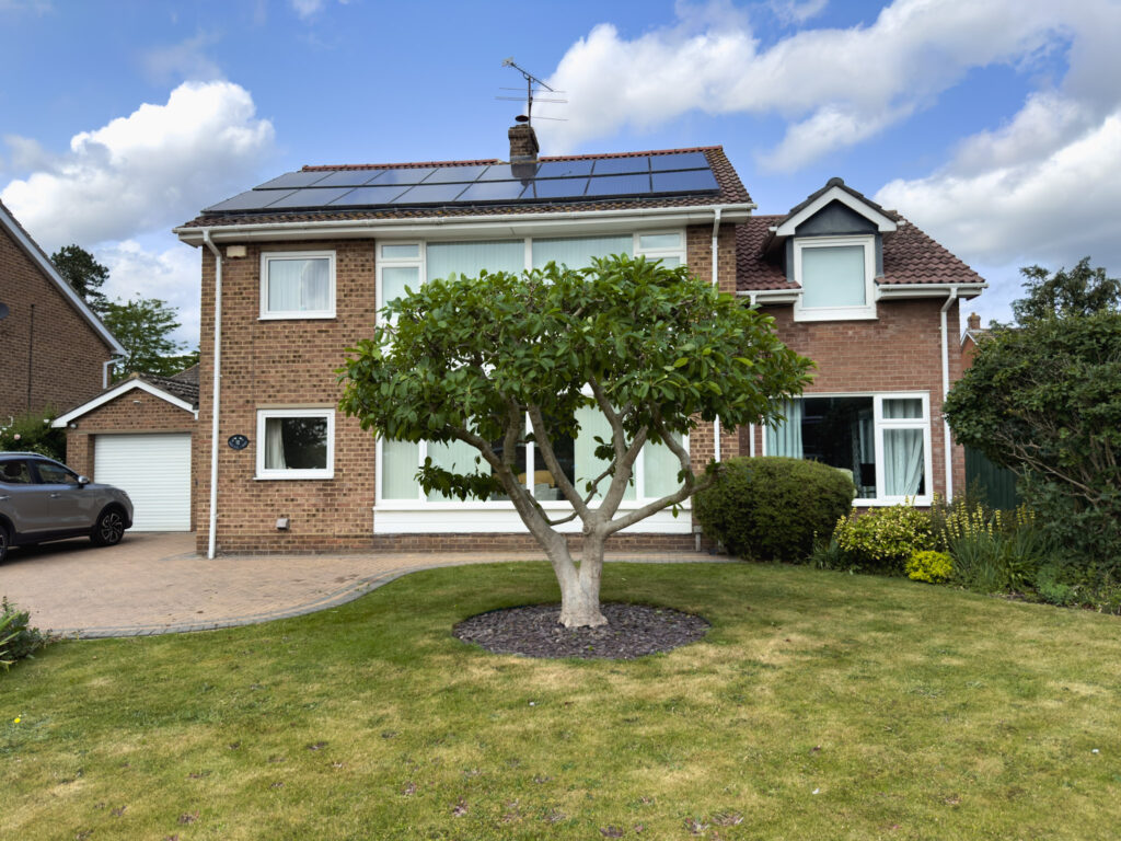 Pruned tree in a front garden