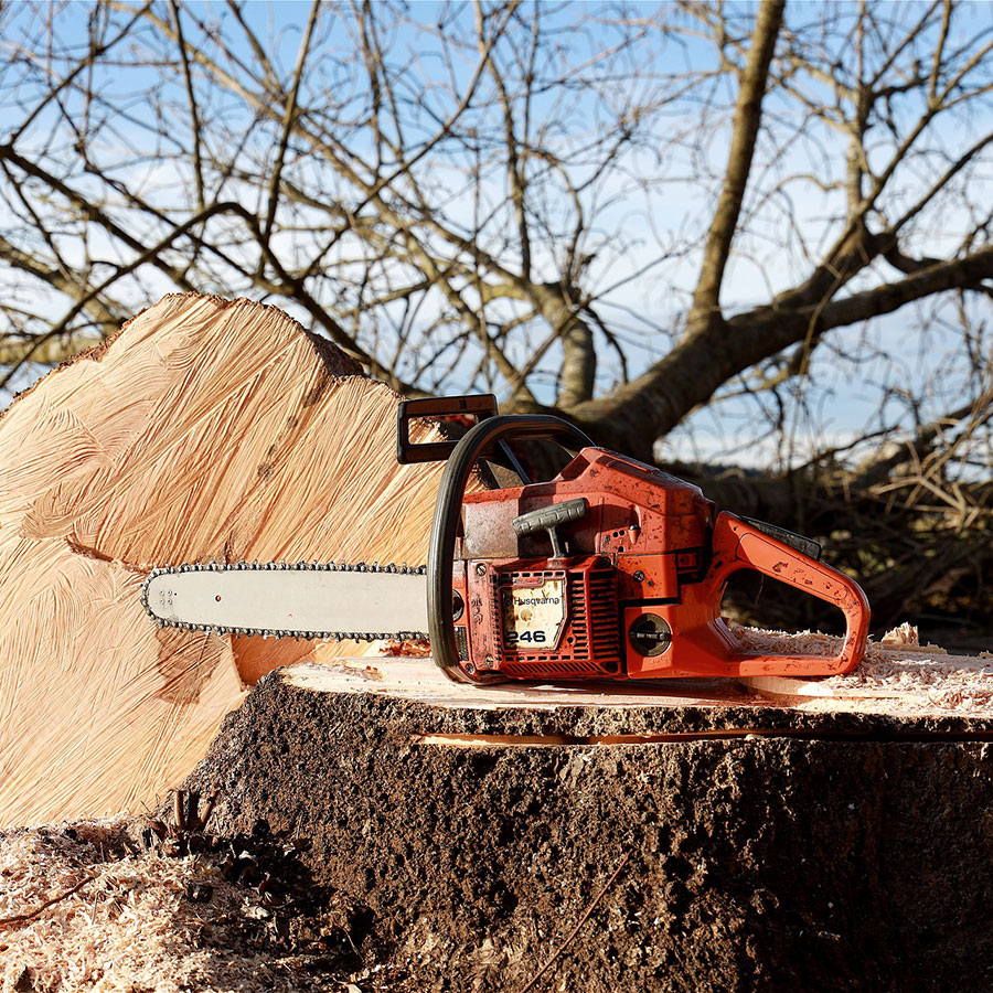 Stump removal and grinding
